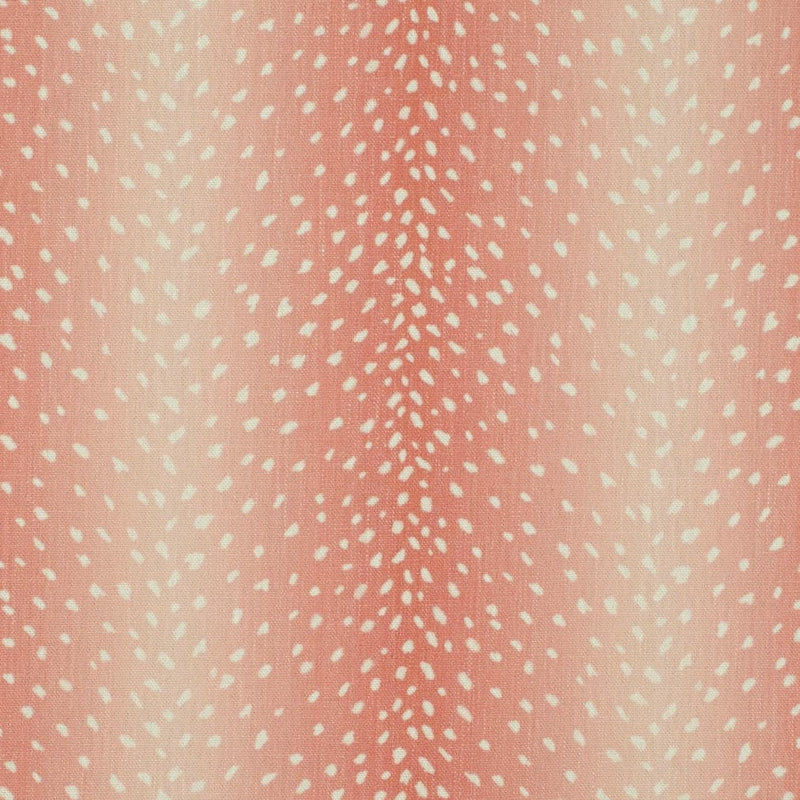 Charlotte Fabrics CB900-203 Fabric | Atlanta Fabrics