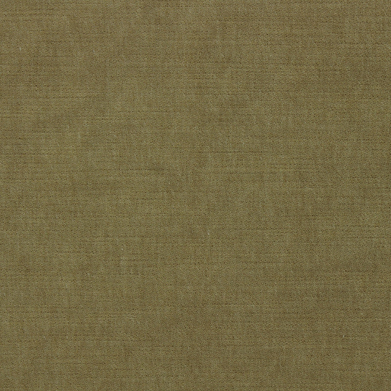 Richloom NORA-GOLDEN Fabric | Atlanta Fabrics