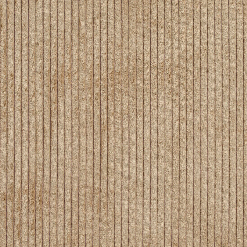 Charlotte Fabrics 20700-10 Fabric | Atlanta Fabrics