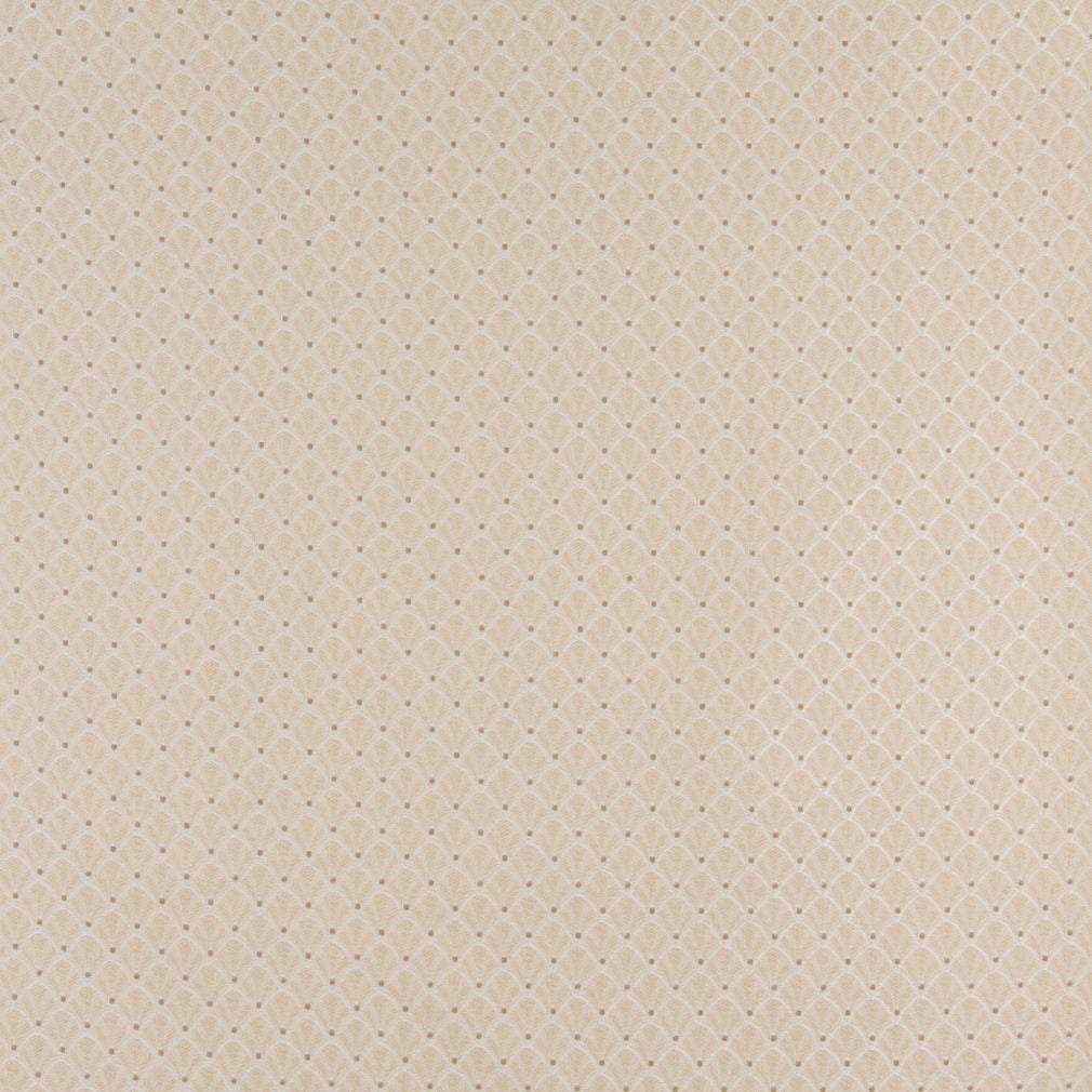 Charlotte Fabrics 4355 Ecru Shell  | Atlanta Fabrics