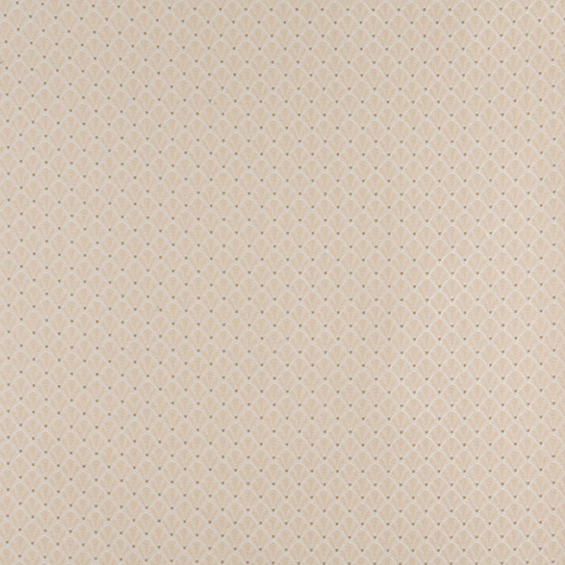 Charlotte Fabrics 4355 Ecru Shell  | Atlanta Fabrics