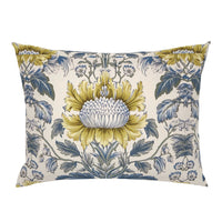 Oelrichs Cornflower