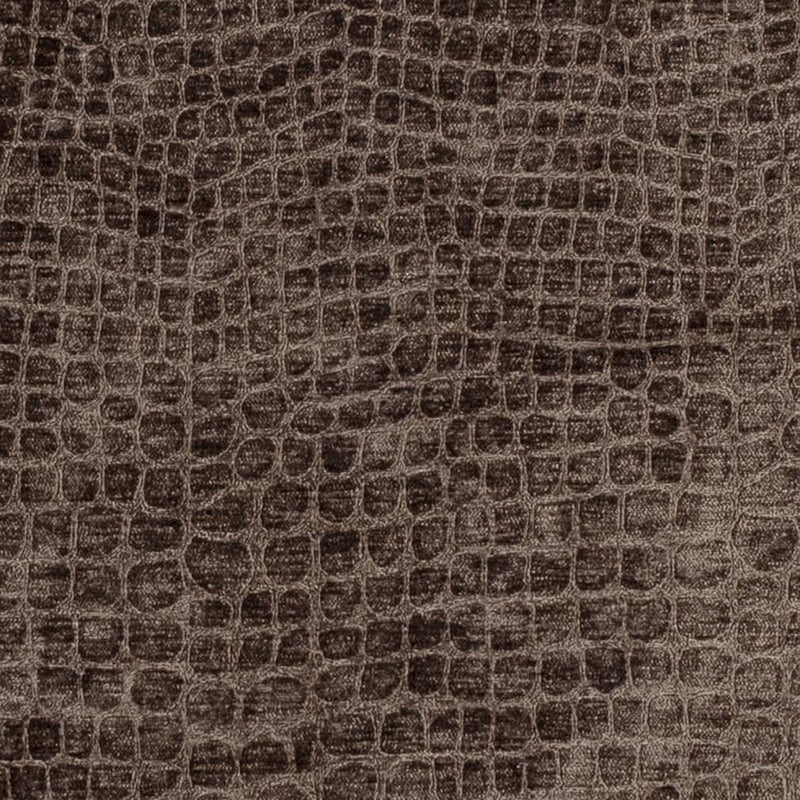 Charlotte Fabrics D3767 Chocolate Fabric | Atlanta Fabrics