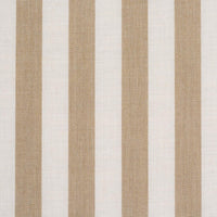 Hanson Indoor/Outdoor Stripe