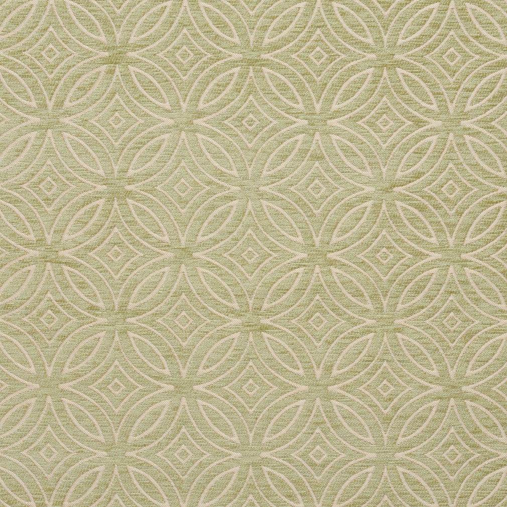 Charlotte Fabrics 20810-06 Fabric | Atlanta Fabrics