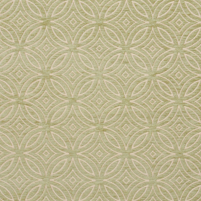 Charlotte Fabrics 20810-06 Fabric | Atlanta Fabrics