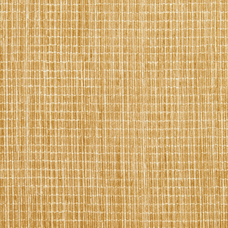 Charlotte Fabrics 20050-01 Fabric | Atlanta Fabrics