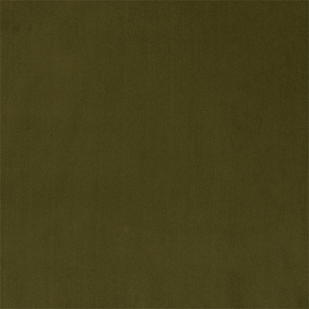 F6136 Olive