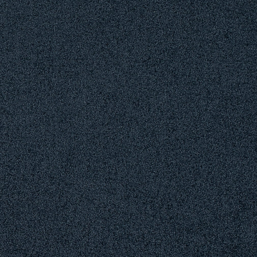 Charlotte Fabrics D4663 Blueberry Fabric | Atlanta Fabrics