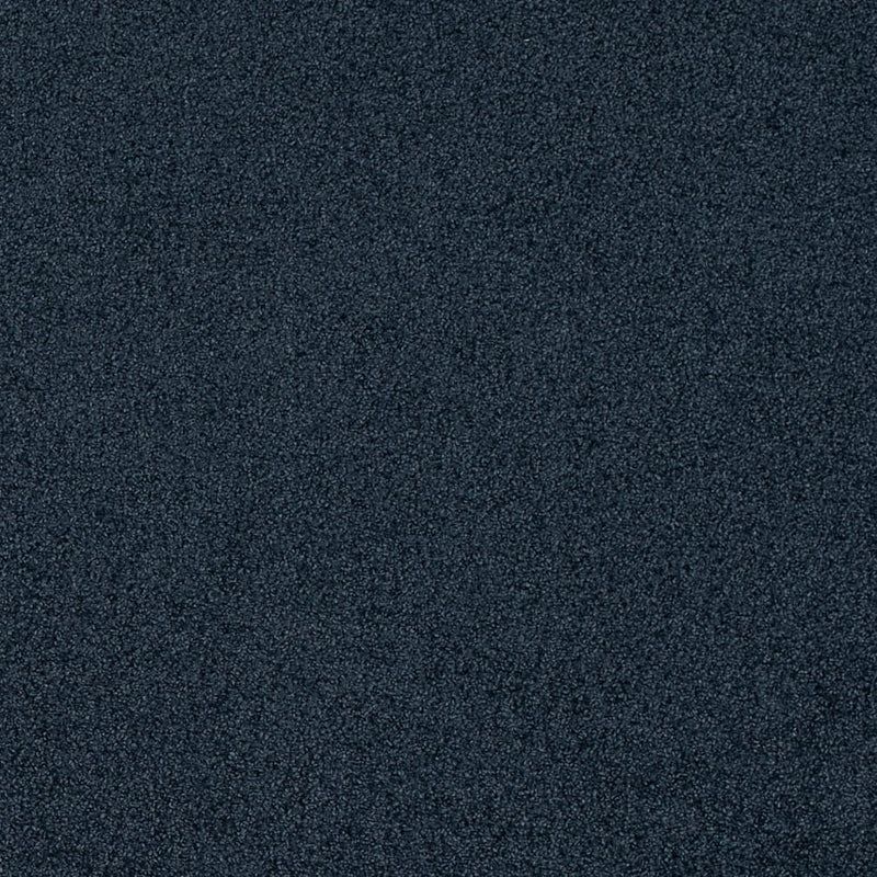 Charlotte Fabrics D4663 Blueberry Fabric | Atlanta Fabrics