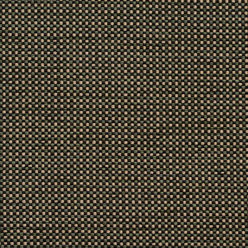 Charlotte Fabrics 4115 Alpine  | Atlanta Fabrics