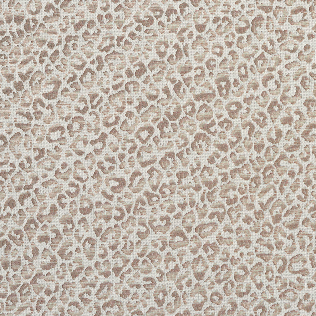 Charlotte Fabrics 1596 Taupe Fabric | Atlanta Fabrics