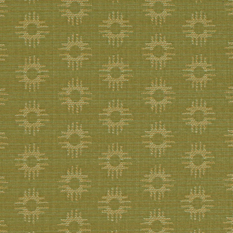 Charlotte Fabrics D4614 Kiwi Fabric | Atlanta Fabrics