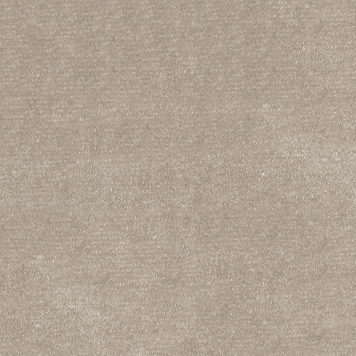 F1787 WHEAT