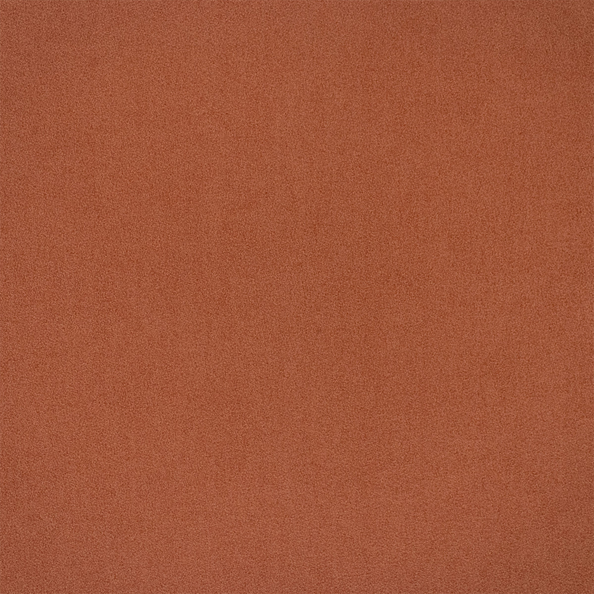 F6406 ROUGE