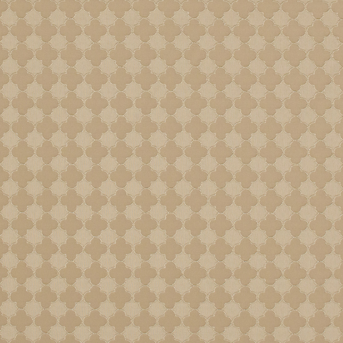 S8004 LATTE