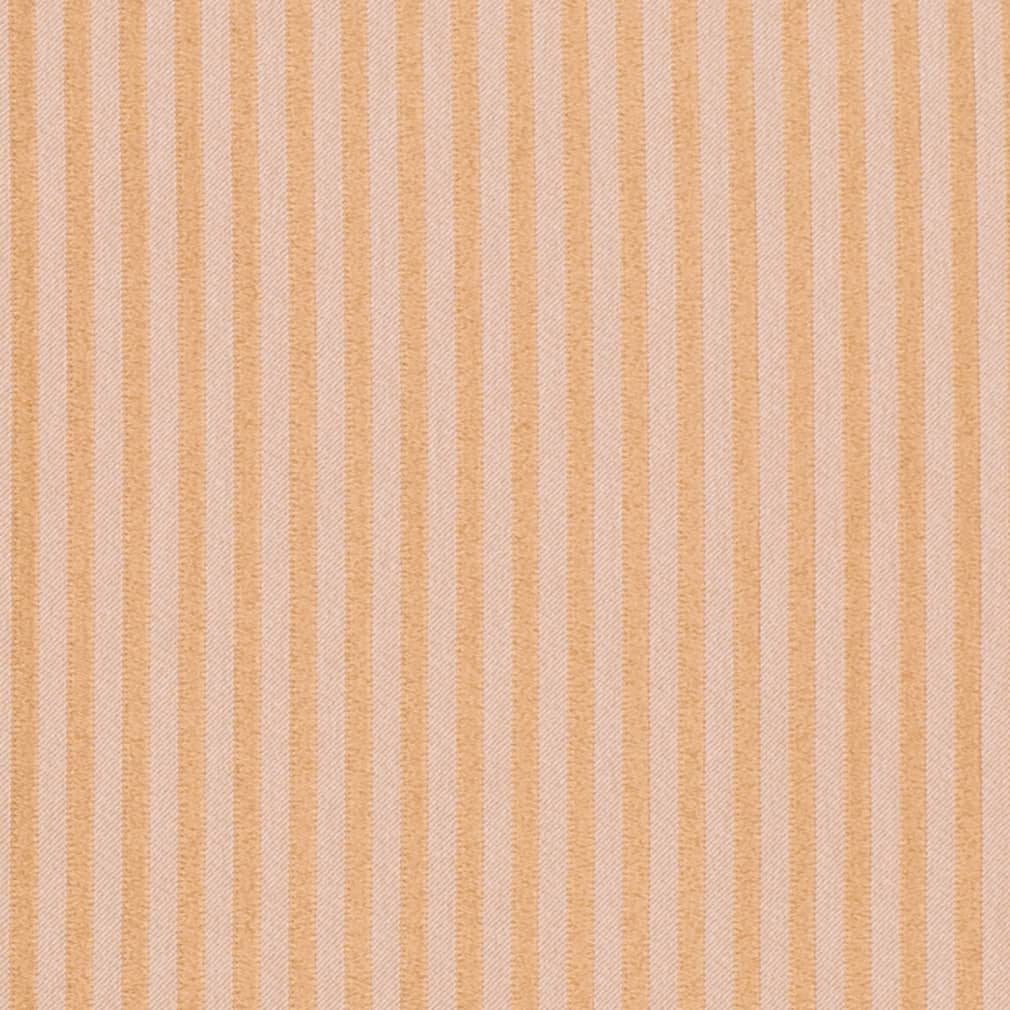 Charlotte Fabrics D4041 Honey Polly Fabric | Atlanta Fabrics