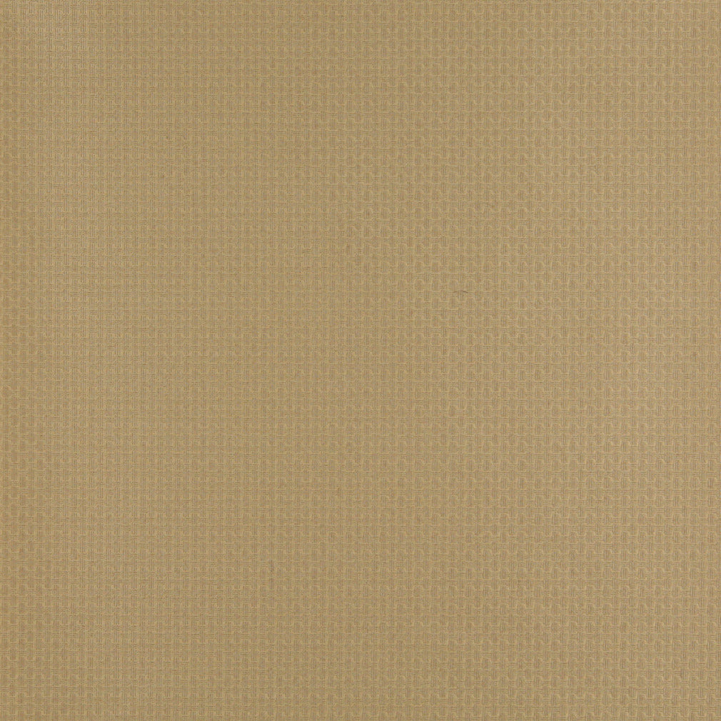Charlotte Fabrics 4346 Harvest  | Atlanta Fabrics
