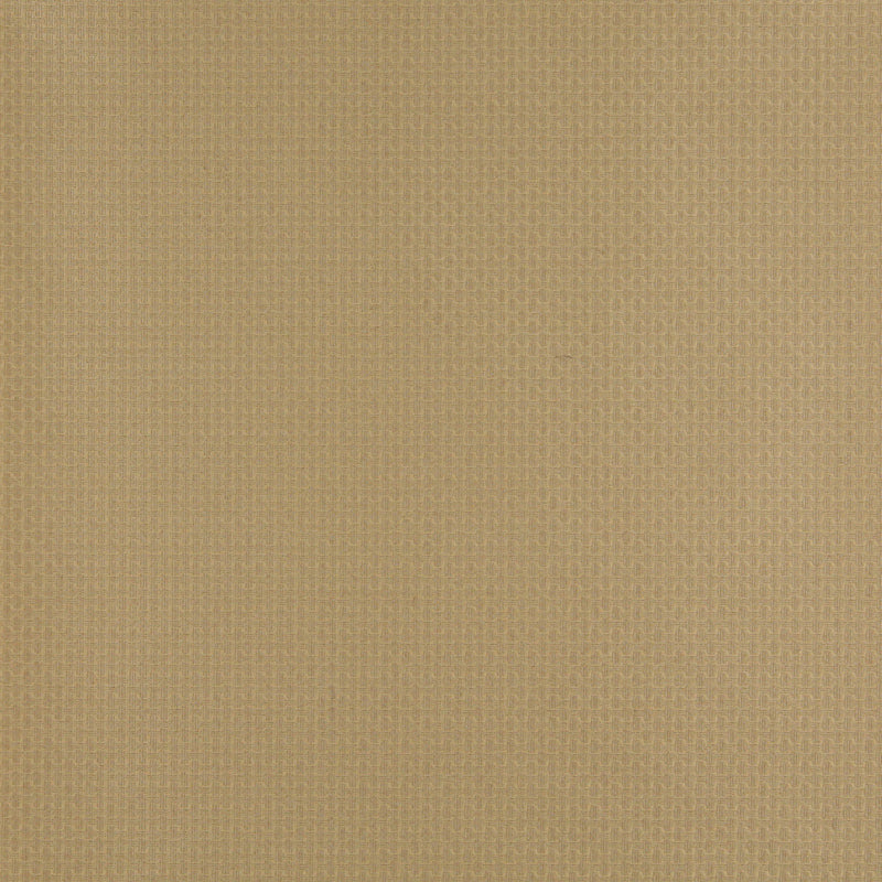 Charlotte Fabrics 4346 Harvest  | Atlanta Fabrics