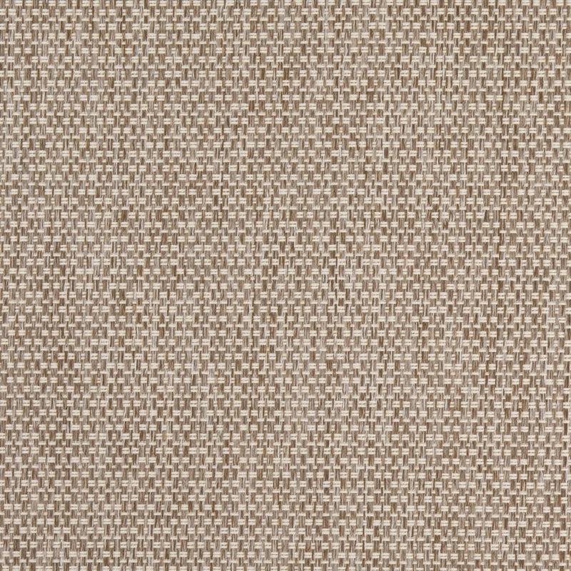 Charlotte Fabrics D4889 Mushroom Fabric | Atlanta Fabrics