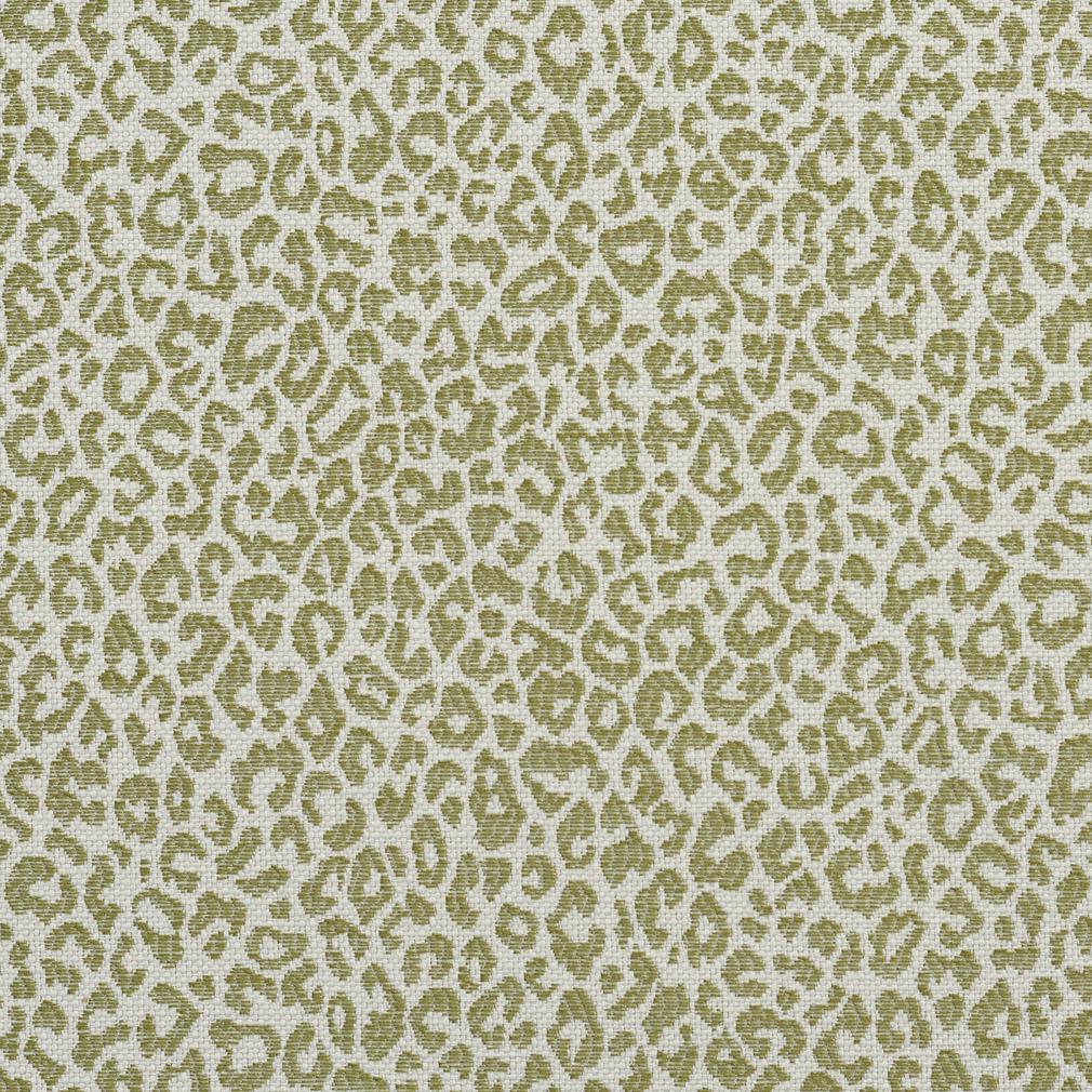 Charlotte Fabrics 1591 Meadow Fabric | Atlanta Fabrics