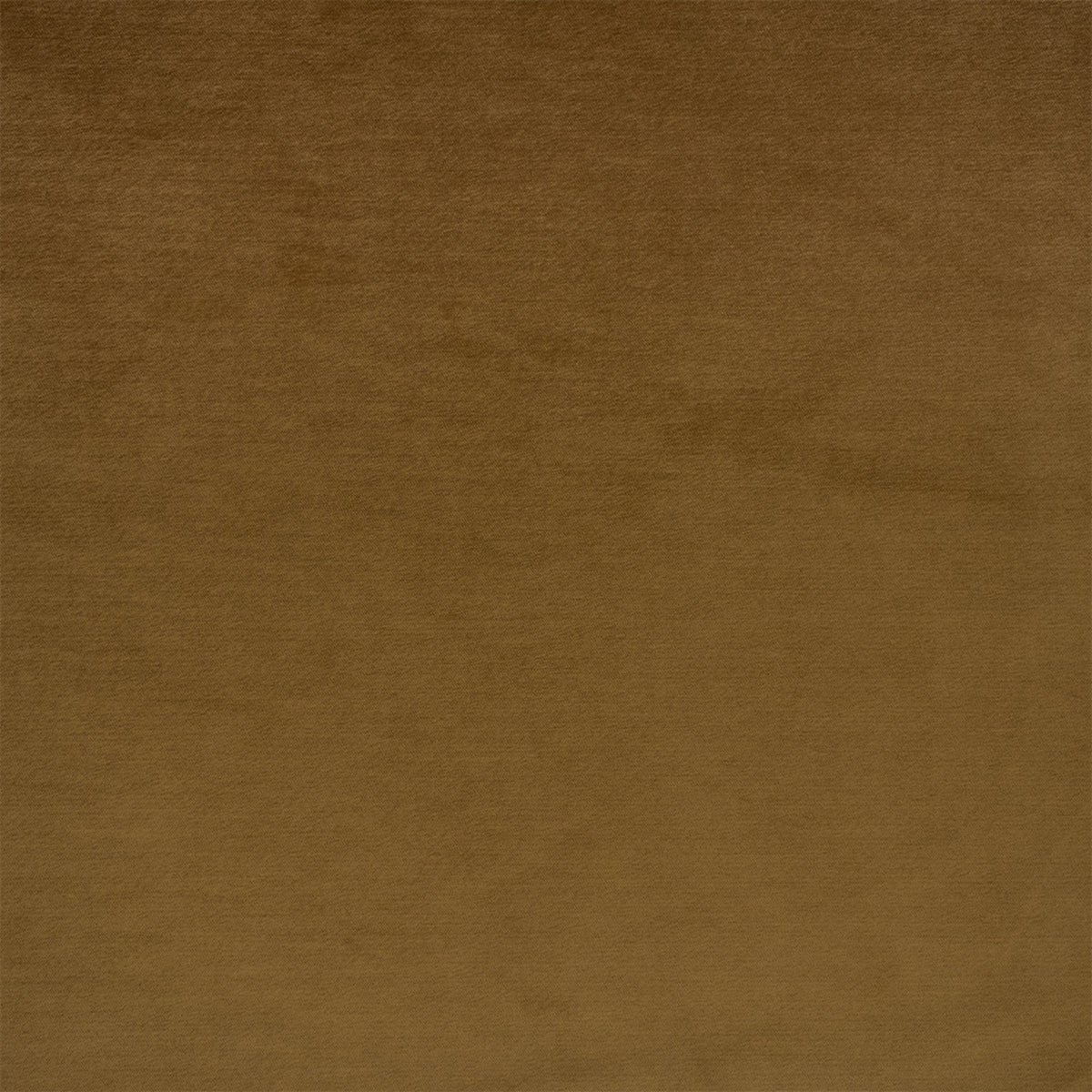 F6405 CAMEL