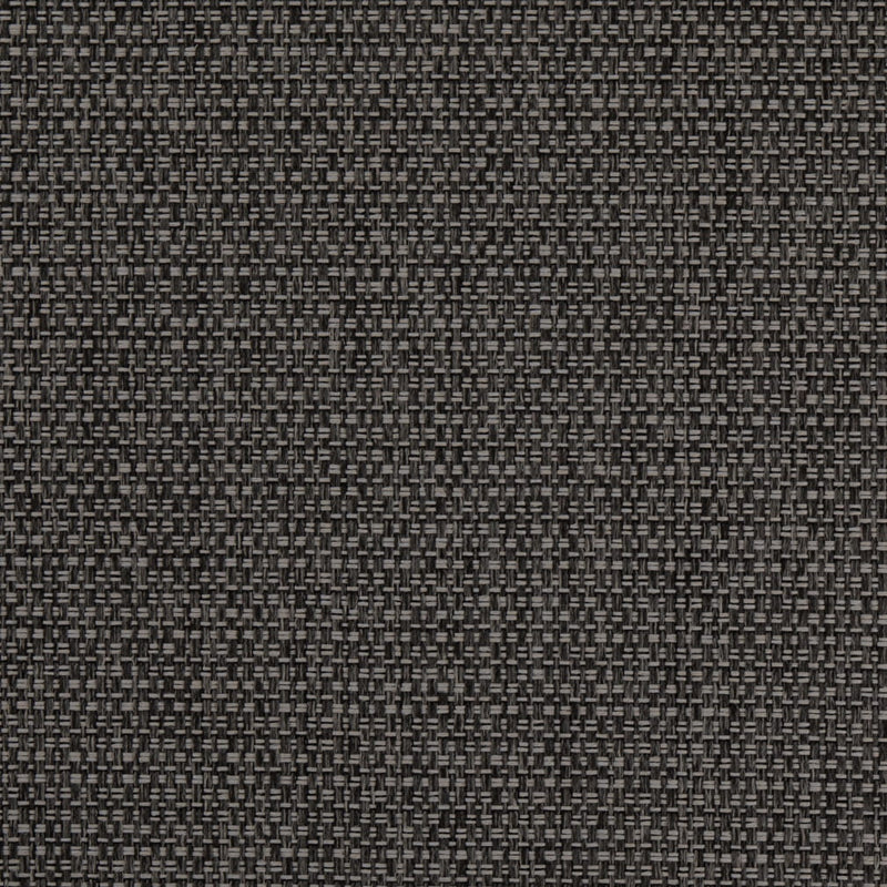 Charlotte Fabrics D4890 Lead Fabric | Atlanta Fabrics