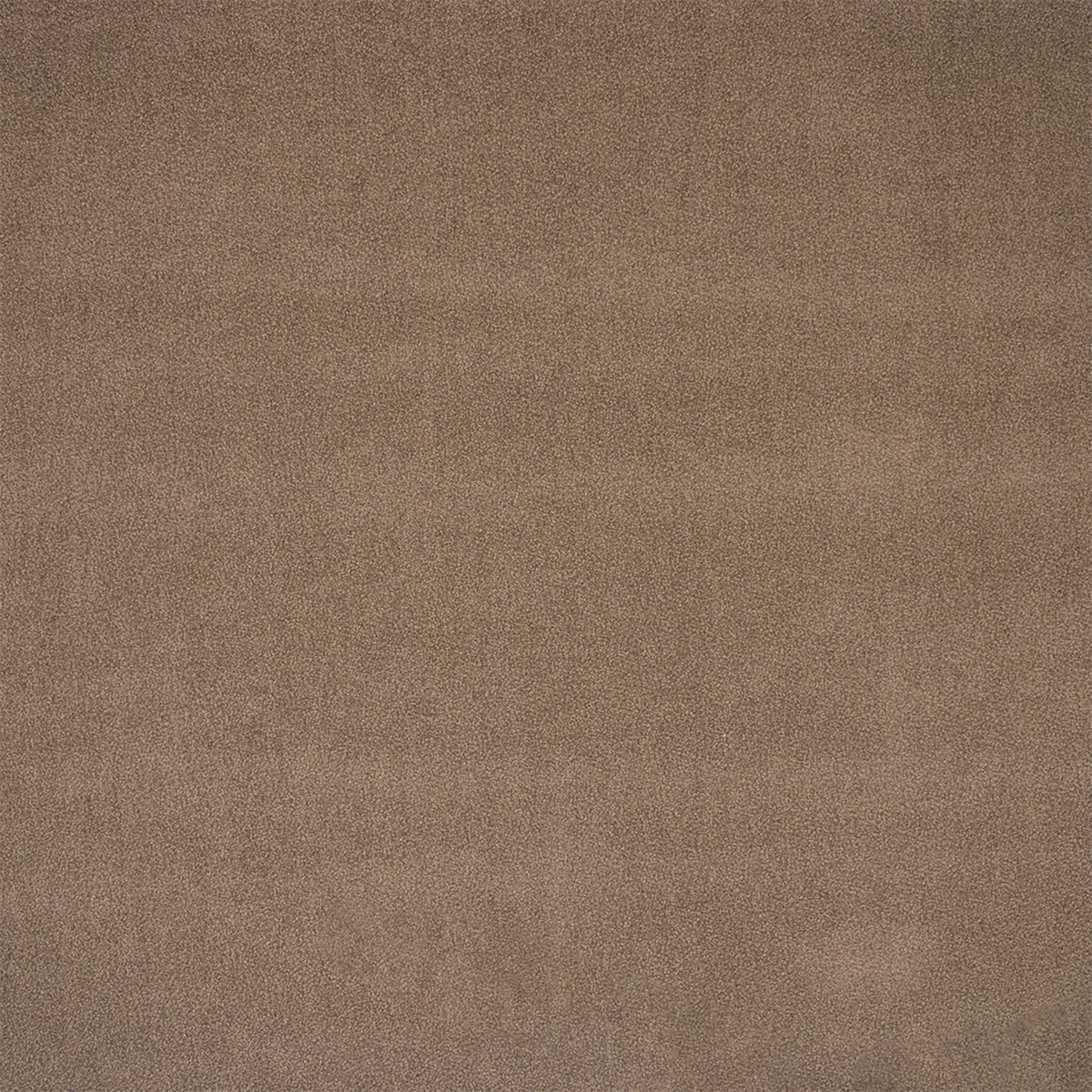 F6375 FAWN