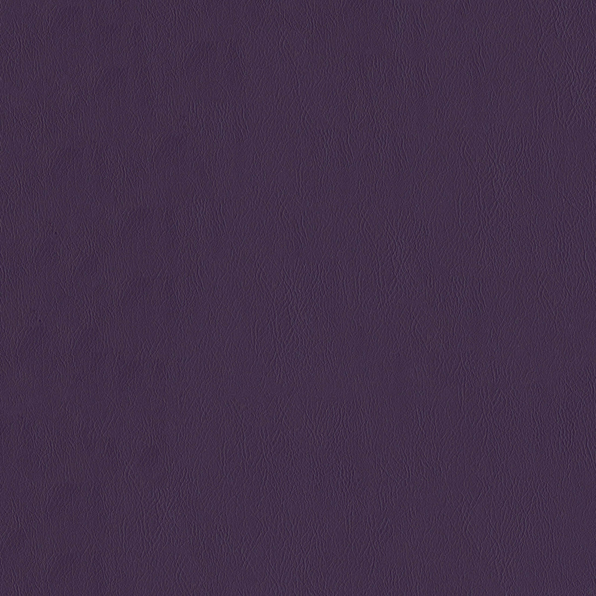 F2893 Plum