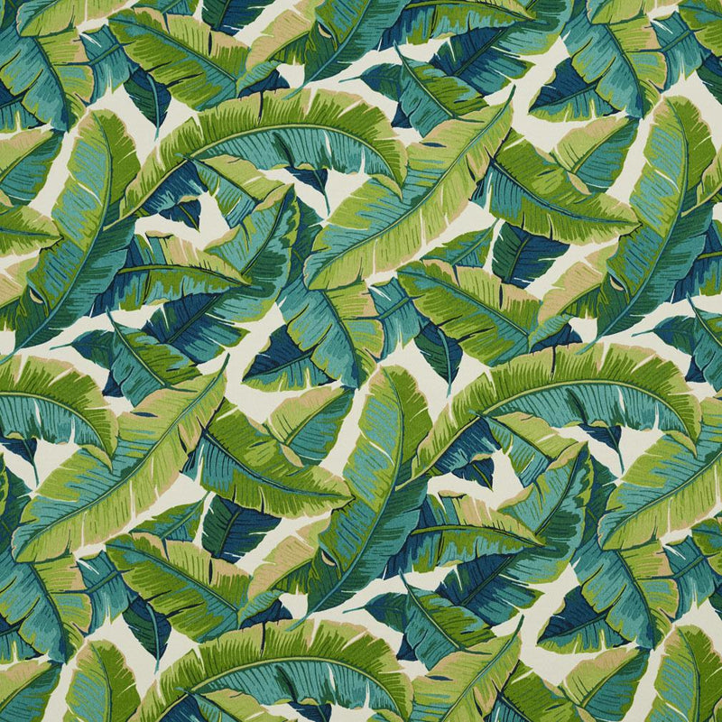 Charlotte Fabrics 4635 Belize  | Atlanta Fabrics