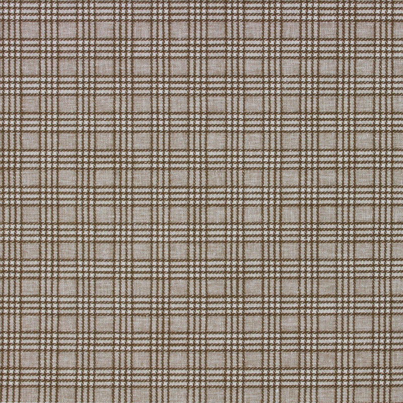 Richloom PAIRED-ACORN Fabric | Atlanta Fabrics
