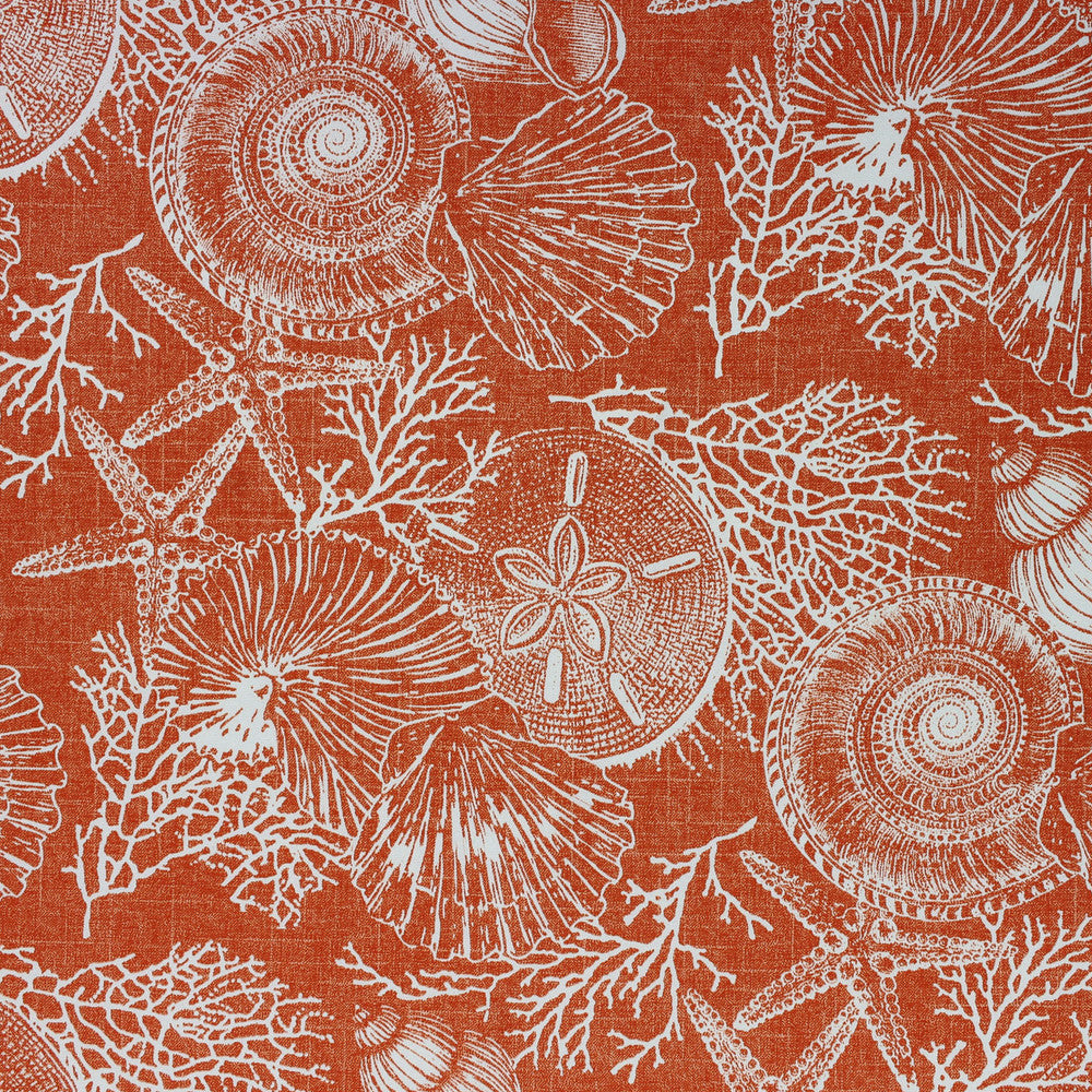 SALTWATER-CORAL