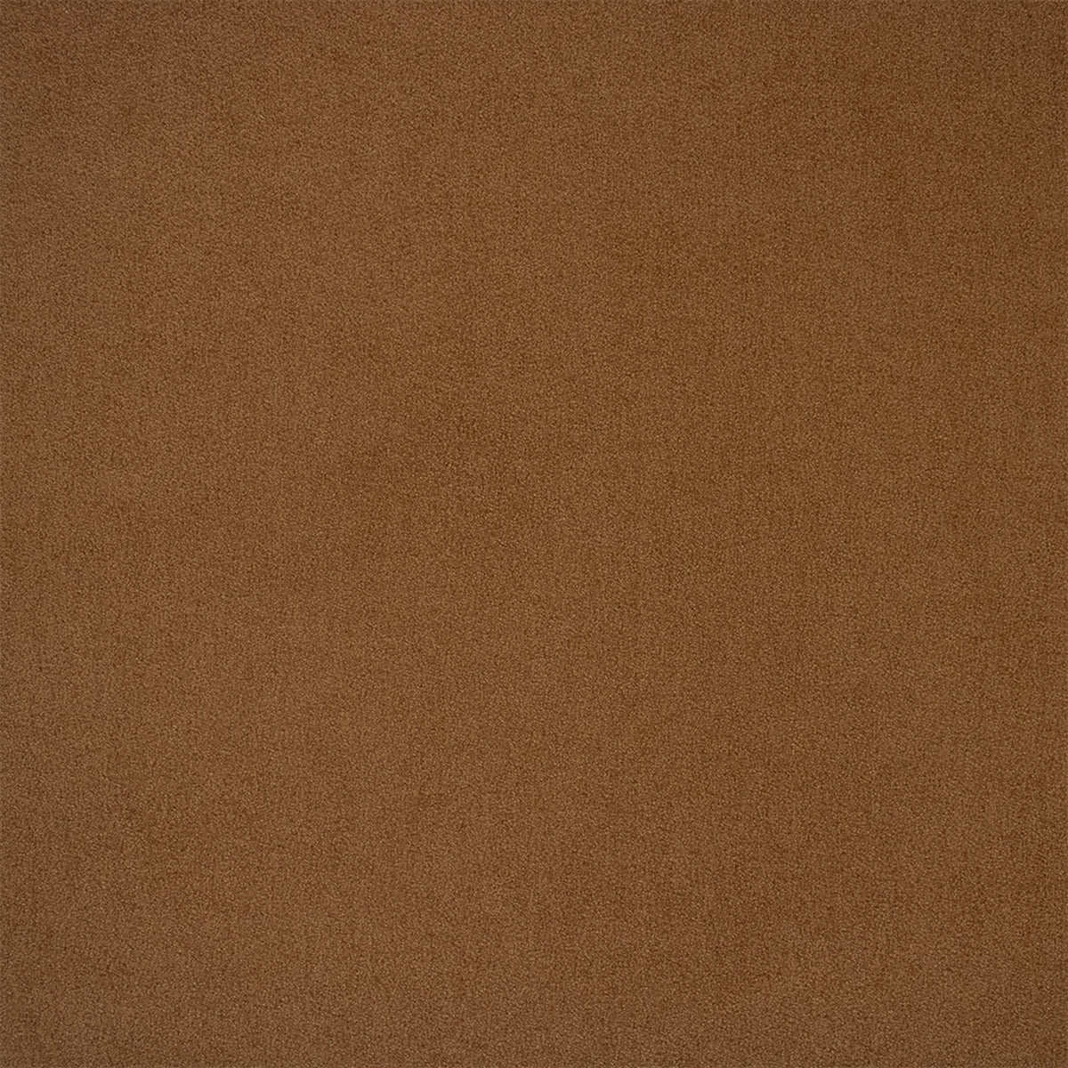 F6369 PECAN