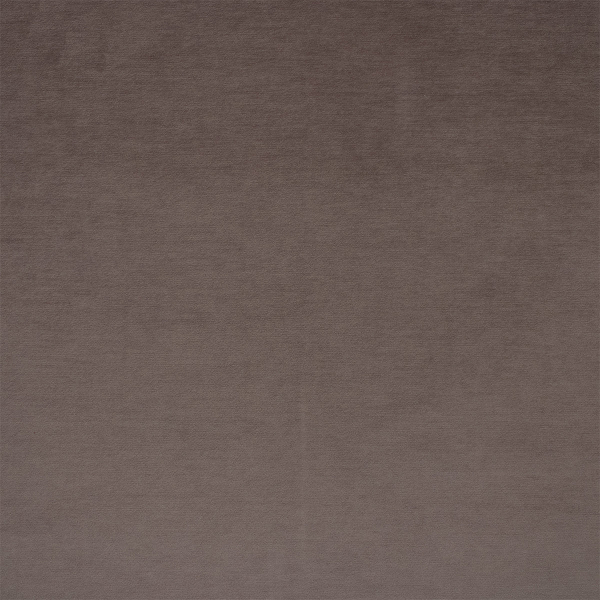 F6411 LILAC