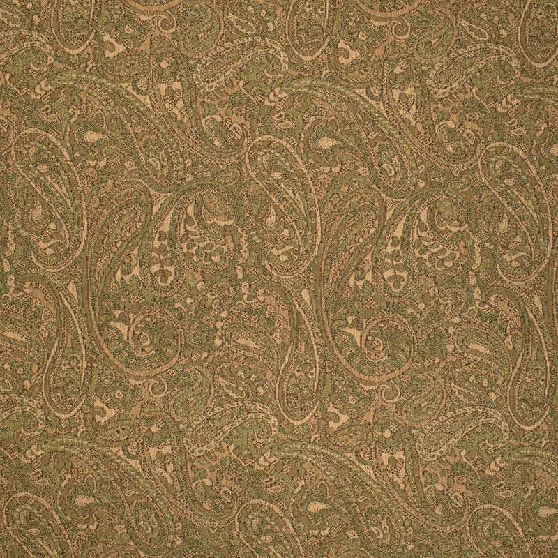 Charlotte Fabrics F200-177 Fabric | Atlanta Fabrics