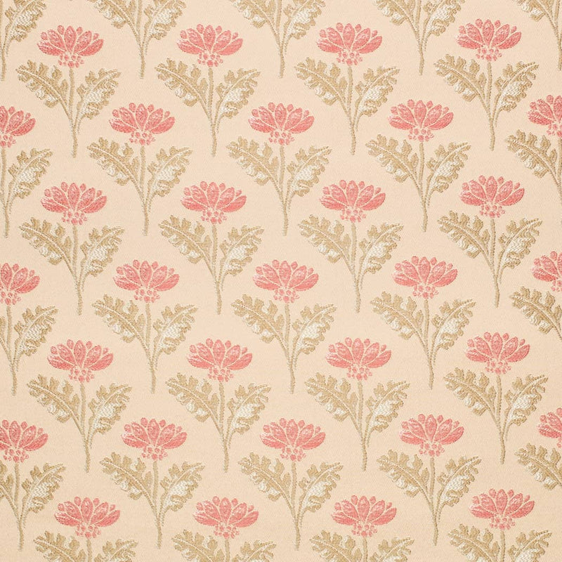 Charlotte Fabrics D4419 Grace Coral Fabric | Atlanta Fabrics