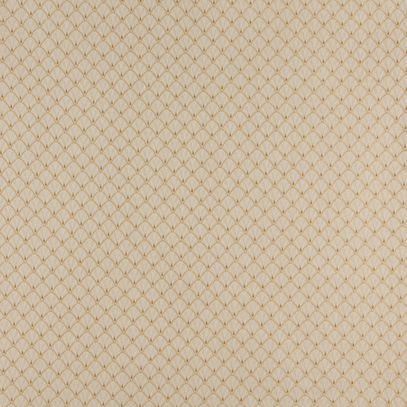Charlotte Fabrics 4362 Flax Shell  | Atlanta Fabrics