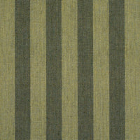 Hanson Indoor/Outdoor Stripe
