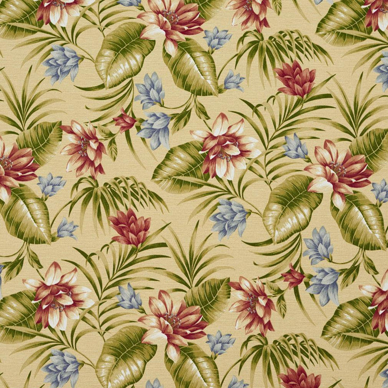 Charlotte Fabrics D957 Granada Fabric | Atlanta Fabrics