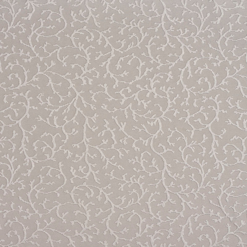 Charlotte Fabrics 20630-07 Fabric | Atlanta Fabrics
