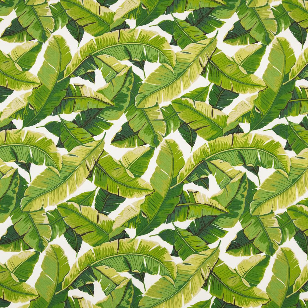 Charlotte Fabrics D948 Palm Fabric | Atlanta Fabrics