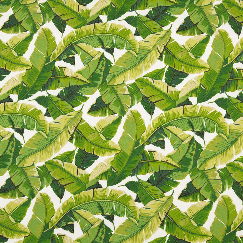 Charlotte Fabrics D948 Palm Fabric | Atlanta Fabrics