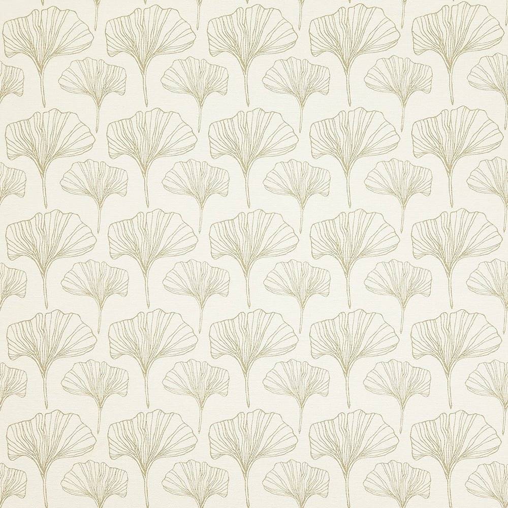 Ginkgo Sketches Natural