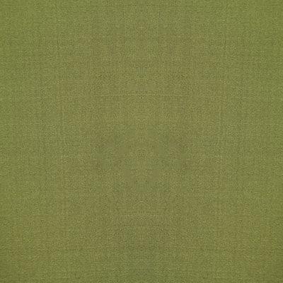 1888 - DOUPPIONI PERIDOT {{ product.product_type } by {{ product.vendor }} - Atlanta Fabrics