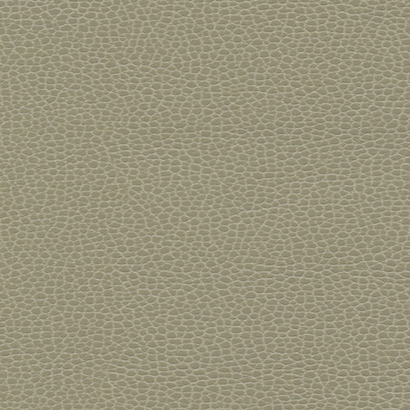 PROMESSA TAUPE