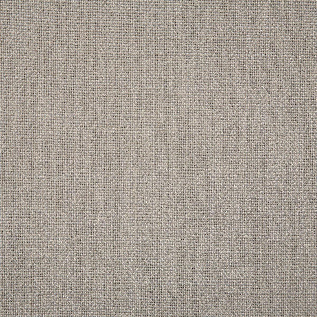 6245 BRIAN-PLATINUM - Atlanta Fabrics