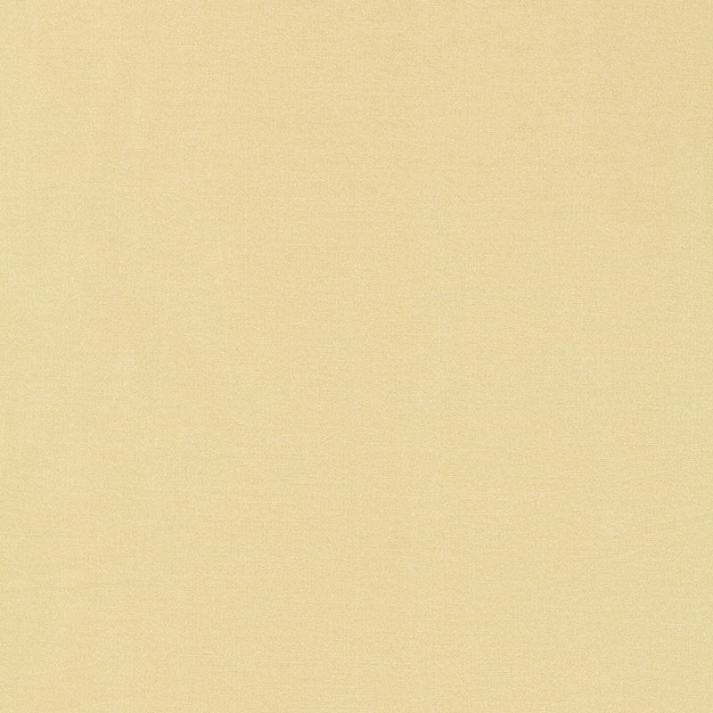 TIEPOLO SHANTUNG WEAVE IVORY