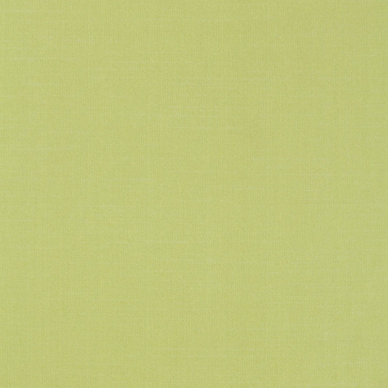 TIEPOLO SHANTUNG WEAVE LIMEADE