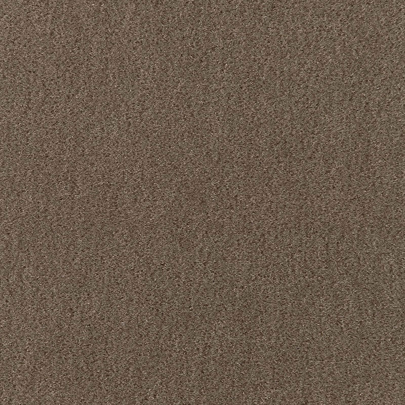 SAN CARLO MOHAIR VELVET TAUPE