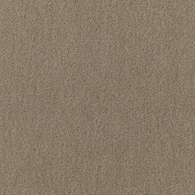 SAN CARLO MOHAIR VELVET KHAKI